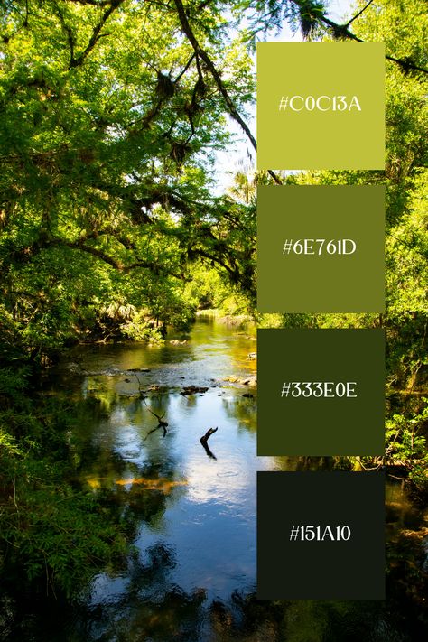 Forest Green Color Palette showcases a tranquil river winding through a dense, forest green woodland. The vivid greens of the trees and foliage reflect beautifully on the water's surface. This serene setting is perfect for capturing the essence of a forest green color palette. Spring Forest Color Palette, Jungle Color Palette, Landscape Color Palette, Forest Green Color Palette, Forest Color Palette, Pallet Inspiration, Color Scheme Generator, Color Generator, Green Color Combinations