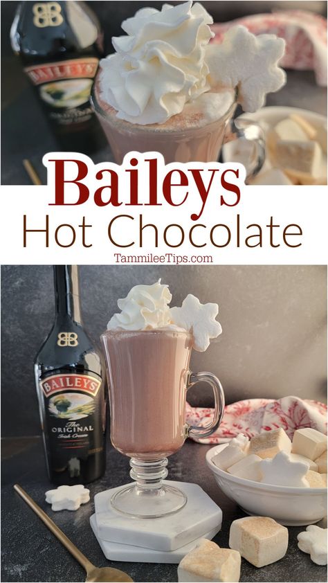 Easy Baileys Hot Chocolate is the perfect hot cocktail. The combination of Bailey's Irish Cream with hot chocolate is simply delicious. Hot Cocoa With Baileys, Baileys Hot Chocolate Recipe, Baileys Hot Chocolate, Irish Cream Drinks, Baileys Fudge, Hot Chocolate Cocktail, Baileys Recipes, Crockpot Hot Chocolate, Chocolate Recipes Easy