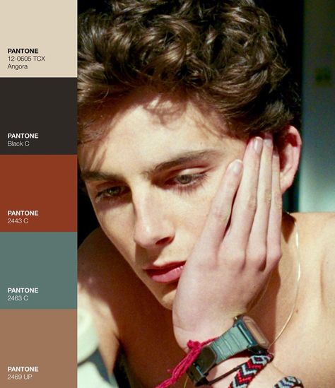 tc daily on Instagram: “I!! love!! color!! palettes!! so!! much!! ❤️❤️ so I decided to make some cmbyn/elio palettes on this cool app called Pantone) ✨ ⠀⠀⠀⠀⠀⠀⠀⠀⠀⠀…” Colour Theory In Film, Color Palette Portrait, Cmbyn Elio, Color In Film, Movie Color Palette, Cinema Colours, Cinema Art, Friend 2, Art Study