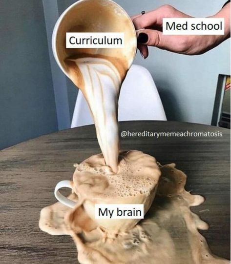 Ten Funny Medical School Jokes - The Medic Portal Meme Med School, Med School Jokes, Med School Memes Humor, Med School Application, Funny Medical Humor, Med School Memes, Med Student Humor, Medic Aesthetic, Medical Student Humor