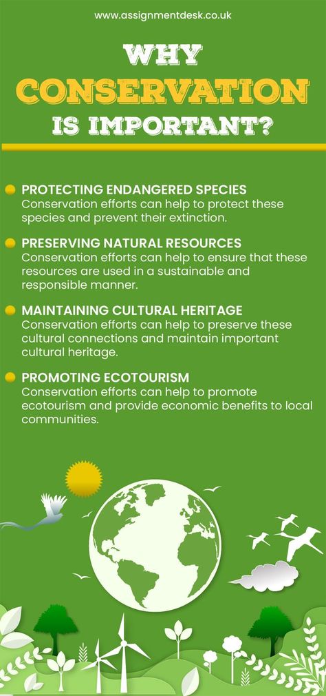 5 importance of conservation
10 importance of conservation
importance of conservation pdf
why it is important to conserve the environment give two reasons
what is the importance of conserving nature
nature conservation
5 importance of environmental conservation
ways of conserving the environment Conservation Of Natural Resources, Business Environment, Assignment Writing Service, Environmental Conservation, Nature Conservation, Sustainable Practices, Global Business, Environmental Science, Earth Science