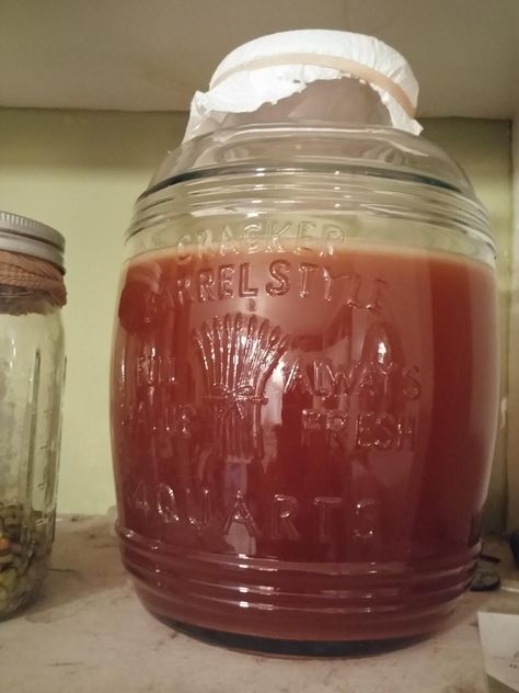 How to make Scoby without using kombucha as starter? | HomeBrewTalk.com - Beer, Wine, Mead, & Cider Brewing Discussion Community. Homemade Kombucha Scoby, How To Make Scoby, Alabama Crafts, Homemade Apple Cider Vinegar, Diy Kombucha, Kombucha Starter, Ginger Bug, Kombucha Scoby, Homemade Kombucha