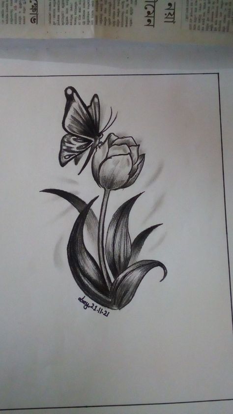 Sitting Butterfly Drawing, Butterfly On Tulip Tattoo, Tulips And Butterfly Tattoo, Butterfly With Tulips Tattoo, Realistic Tulip Drawing, Tulip With Butterfly Tattoo, Tulip Butterfly Tattoo, Tulip And Butterfly Tattoo, Nicole Tattoo