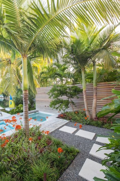 Swimming Pool Landscaping Ideas, Landscaping Around Pool, Tropical Pool Landscaping, Tropical Backyard Landscaping, Pool Landscaping Ideas, Florida Pool, Florida Landscaping, Swimming Pool Landscaping, Tropical Backyard