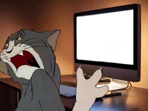 Tom Meme, Blank Memes, Programmer Humor, Meme Maker, 10% Happier, Memes Anime, Cartoon Memes, Meme Template, Funny Reaction Pictures