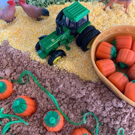 Rainbows and Trucks☀️ on Instagram: “🎃PUMPKIN PATCH SENSORY BIN🎃 Invite your little one to plant and harvest pumpkins from the cocoa cloud dough pumpkin patch! Contents:…” Cloud Dough, Baby Learning, Sensory Bins, Pumpkin Patch, Little One, Cocoa, Rainbow, Trucks, Plants