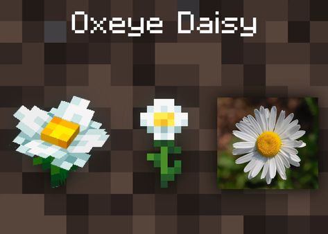 Minecraft Plants, Oxeye Daisy, Minecraft Addons, Minecraft Texture Pack, Minecraft Structures, Minecraft Banner Designs, Minecraft Banners, Minecraft Cottage, Flower 3d