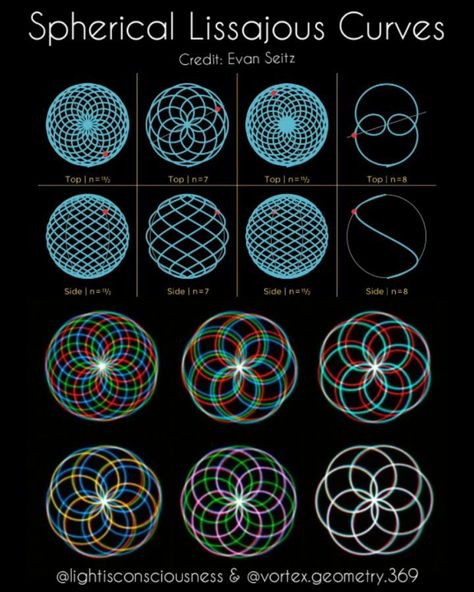 www.instagram.com/lightisconsciousness  Spherical Lissajous Curves "A collection of stable harmonics computed via implementation of simple rules. I'm endlessly fascinated in the… Fibonacci Sequence, Math Geometry, Geometry Art, Simple Rules, Sacred Geometry, Stables, Geometry, Astrology, Universe