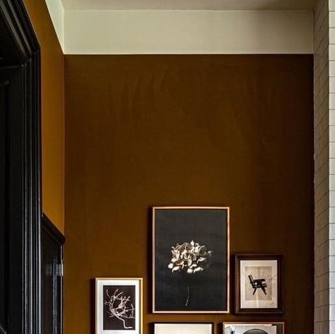 Chocolate Paint Walls, Clay Living Room Paint Colors, Copper Kettle Benjamin Moore, Cafe Paint Colors, Saddle Brown Paint Color, Multiple Paint Colors In One Room, Dark Painted Walls Living Room, Library Accent Wall, Brown Walls Black Trim