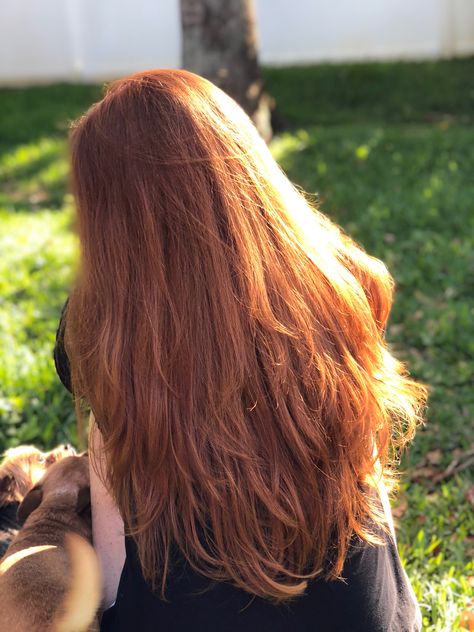 Dr Hairstyles, Red Hair Princess, Ginger Aesthetic, Straight Red Hair, Long Auburn Hair, Hair Nutrition, Natural Red Hair, Ginger Spice, Luscious Hair