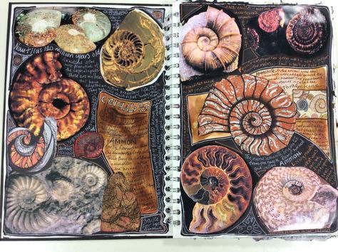 Art Sketchbook Sealife, Gcse Textiles Sketchbook Natural Forms, Gcse Art Sketchbook Shells, Double Page Sketchbook Ideas, Natural Forms Textiles Gcse, Marine Sketchbook, Coastal Sketchbook, Ocean Sketchbook, Natural Forms Gcse