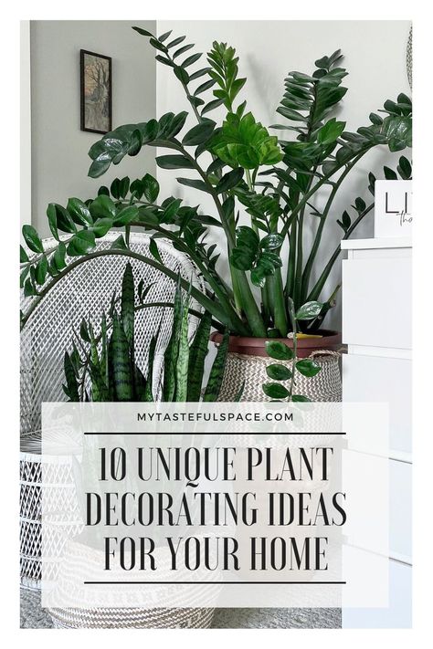 Indoor Plants Styling Living Rooms Bohemian, Modern Interior Design With Plants, Plant Stands For Large Plants, Plants For Interior Design, Unique Houseplant Display, Houseplants In Kitchen, Decorate House With Plants, Unique Plant Display Ideas, How To Decorate House With Plants