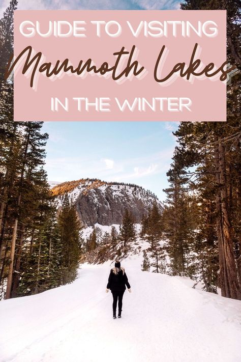 Mammoth Lakes is one of the most popular ski destinations in California... but did you know there is so much more do than ski?! Of course you should definitely hit the slopes at Mammoth Mountain but don't miss exploring more of the gorgeous Eastern Sierra region. From where to stay and dine to all of the best things to do, here is the ultimate guide to visiting Mammoth Lakes in the winter! Mammoth Lakes California Winter, Mammoth Ski Resort, Mammoth California, Travel Aesthetic Outfits, Roadtrip Ideas, Ski Destinations, Mammoth Lakes California, June Lake, California Winter