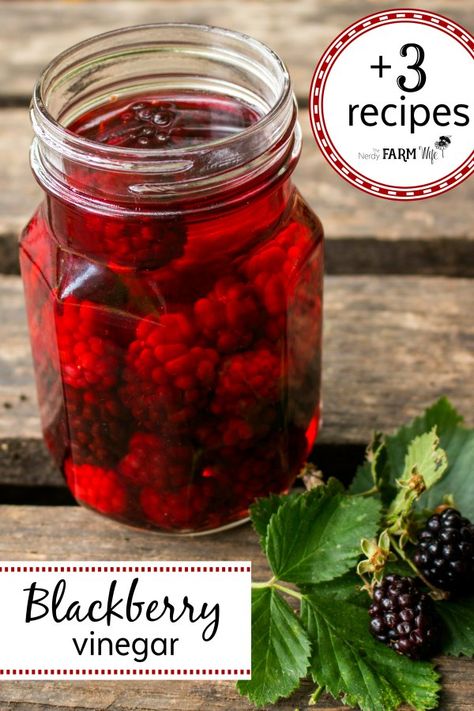 Blackberry vinegar is a beautiful way to preserve a summer bounty of berries! Learn how to make blackberry vinegar, then use it in a tasty fruit dip, main dish meal, and homemade salad dressing. Blackberry Pulp Uses, Flavored Vinegar Recipes How To Make, Blackberry Vinegar Recipes, Blackberry Vinegar, Herb Vinegar, Jelly Making, Fruit Vinegar, Vinegar Recipes, Herbal Vinegar