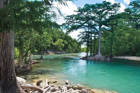 The Guadalupe River State Park is beautiful this time of year. It’s a short 1 hour 15 minute drive from Austin and boasts 4 miles of river… Texas Lakes, Texas State Parks, Texas Adventure, Guadalupe River, Texas Vacations, Texas Parks, Canyon Lake, Swimming Holes, Texas Travel