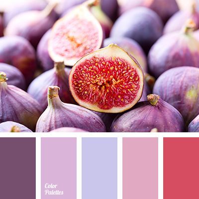 Color Palette #3196 Violet Color Palette, Flat Bedroom, In Color Balance, Lavender Color Palette, Color Generator, Purple Palette, Room Dark, Color Palette Ideas, Red Colour Palette