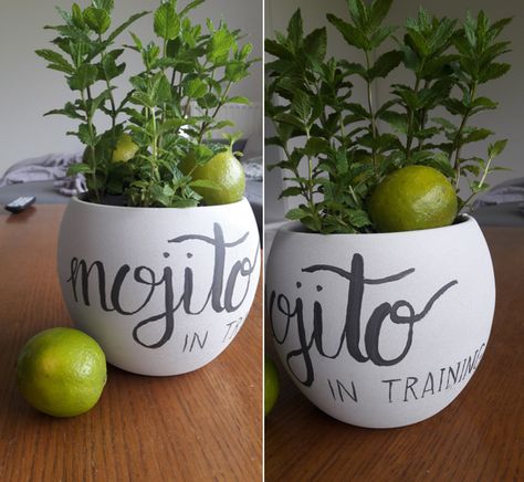 Cricut Plant Pot Ideas, Plant Gift Ideas Diy, Homemade Plant Pots Diy, Plant Pot Sayings, Mint Plant, Painted Pot, Plant Puns, Plant Pot Design, Plant Pot Diy