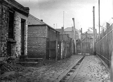 The back street to these North Melbourne slum dwellings shows off a 'beware of dog' sign written on a makeshift gate Melbourne Suburbs, North Melbourne, Australia Vacation, Dutch East Indies, Waterfall Features, Airlie Beach, Dream City, Nobel Prize, Cairns