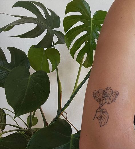 Simplistic Frog Tattoo, Monteras Plant Tattoo, Plant Tattoo Placement, Plant Tattoo Aesthetic, Tattoo Ideas Artsy, Plant Tattoos Arm, Cool Plant Tattoos, Monstera Tattoo Small, Back Plant Tattoo