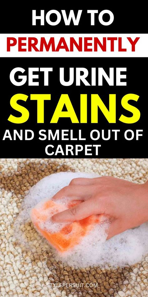 Looking for easy and fast ways to get urine stains and urine smell ou of your carpet. Continue reading to learn the simple tricks I used to get rid of urine stains instantly for good... Urine Stains Out Of Carpet, Cleaning Dog Pee, Dog Urine Remover, Pet Urine Remover, Stains Out Of Carpet, Remove Urine Smell, Pet Urine Smell, Cleaning Pet Urine, Diy Carpet Stain Remover