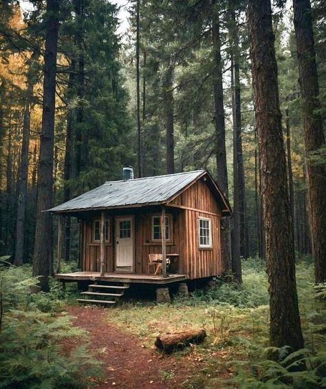 Old Shack In The Woods, Isolated Cabin In The Woods, Small Cabin Exterior, Shack In The Woods, Small Cabin In The Woods, Bush Cabin, Bush Retreat, Cabin In Woods, Small House In The Woods