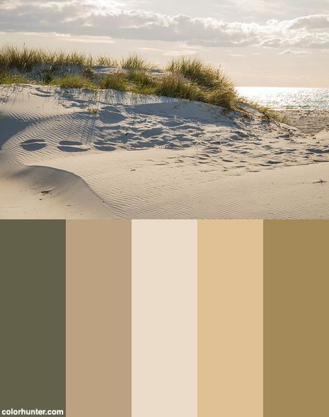 The Sandy Beach Color Scheme from colorhunter.com Sand Pallete Color, Sandy Colour Palette, Sand Color Pallete, Vintage Beach Color Palette, Sand Color Outfit, Sandy Color Palette, Beach Pallet Colors, Bathroom Sand Color, Beach Colour Palette