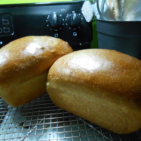 Italian Bread-Bread Machine/Oven Recipe | Just A Pinch Recipes Bread Machine Italian Bread, Bread Bread Machine, Italian Bread Recipes, Oven Recipe, Bread Maker Recipes, Bread Oven, Biscuit Rolls, Just A Pinch Recipes, Bread Maker