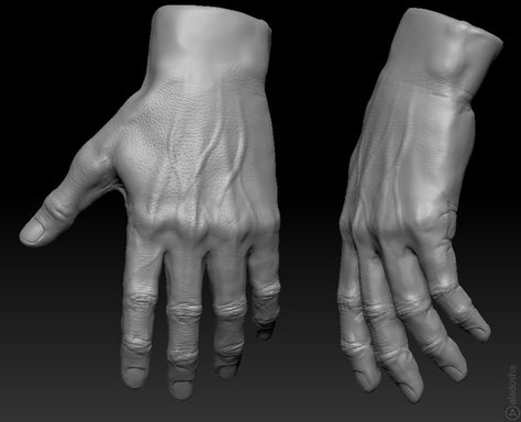 3d Hand Reference, Muscle Hand Reference, 3d Arm Anatomy, Hand Sculpture Poses, Tattoo Fingers, Forearm Anatomy, Pose Hand, Fingers Tattoo, Hands Sculpting Zbrush