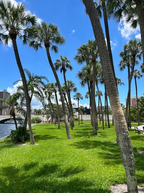 University of Tampa-Downtown Tampa Downtown, College Vision Board, University Of Tampa, College List, Ticket To Ride, Dream College, Dream School, Senior Photoshoot, Sunshine State