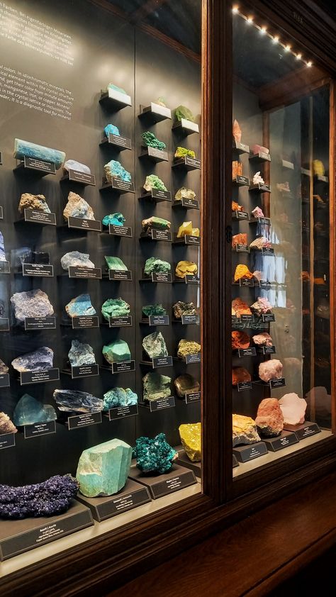 #museum #crystal #rainbow #nature #naturemuseum #history #crystals Mineral Collection Display, Crystal Collection Display, Geology Museum, Under Shelf Lighting, Rock Collection Display, Gem Display, Crystal Terrarium, Rainbow Nature, Crystal Cabinets