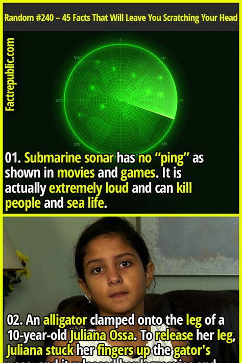 01. Submarine sonar has no “ping” as shown in movies and games. It is actually extremely loud and can kill people and sea life. #science #knowledge #education #technology #girl #rescue #brave #badass #kid Random Science Facts, Fun Movie Facts, People Staring, Odd Facts, Fun Facts Mind Blown, Science Knowledge, Fact Republic, Science Fact, Interesting Science Facts