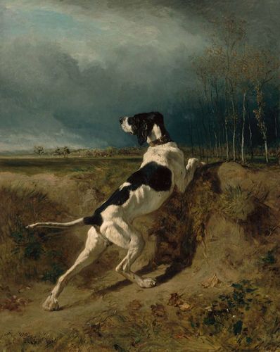 Hound Pointing 1860 Constant Troyon, French, 1810–1865. MFA Boston | by renzodionigi Fine Art Painting Oil, Canine Art, Antique Oil Painting, Landscape Canvas Art, Tableau Art, Dog Wall Art, A4 Poster, European Art, Old Paintings