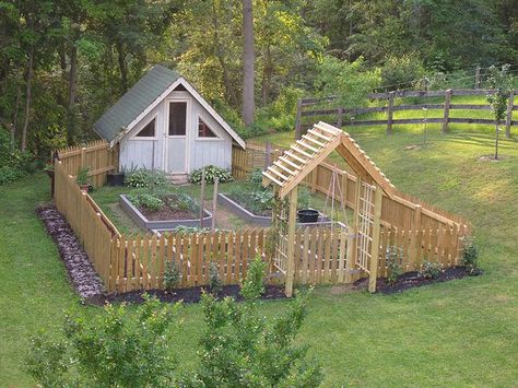 Chicken coop attached so they can enjoy the end of the harvest leftovers & fertilize at the same time. Reban Ayam, Making Raised Garden Beds, Grapes Growing, Homestead Farm, A Small House, Mini Farm, Growing Grapes, Growing Tips, Hobby Farms