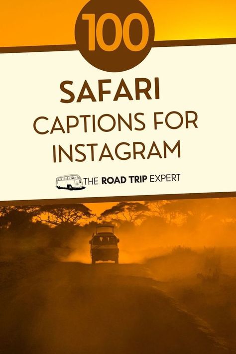 Safari Captions for Instagram Safari Captions For Instagram, Safari Quotes, Quotes For Instagram Posts, Africa Quotes, Couple Instagram Captions, Instagram Post Captions, New Adventure Quotes, Animal Captions, Dubai Safari