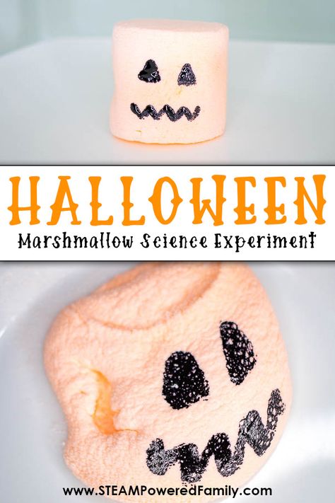 Halloween Marshmallow Science Experiment Spider Web Slime Recipe, November Science Experiments Preschool, Marshmallow Science Experiment, Halloween Experiments For Preschool, Easy Halloween Science Experiments, Halloween Science Preschool, Halloween Experiments For Kids, Candy Corn Experiment, Marshmallow Science