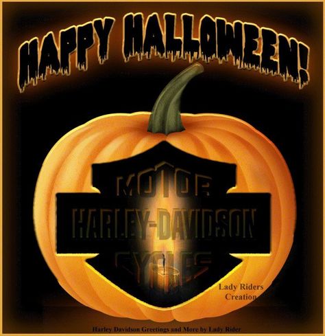 Good Morning Harley Davidson, Harley Davidson Halloween, Holiday Memes, Harley Davidson Quotes, Harley Davidson Images, Harley Davidson Artwork, Harley Davidson Wallpaper, Harley Davidson Clothing, Harley Davidson Logo