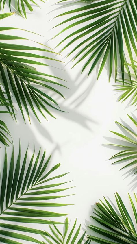 Palmtrees Aesthetic Wallpaper, Tropical Leaf Background, Palm Background, Leaves Wallpaper Iphone, Leaf Photography, 4k Wallpaper For Mobile, Landscape Tattoo, Plant Background, Funny Iphone Wallpaper