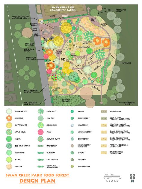 Food Forest Design - Swan Creek Park Food Forest Food Forest Design Backyards, Food Forest Design Layout, Permaculture Food Forest Design, Zone 5 Food Forest, Edible Forest Garden, Mandela Garden, Food Forest Layout, Forest Homestead, Forest Garden Design