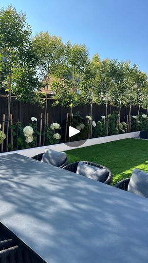 2.2K views · 115 reactions | Why did we choose pleached trees?
We had amazing service from @paramountplants and could not fault a single thing it was the best investment we made for the garden. 
Tree info :
Ligustrum Japonicum Pleached Trees
Size: 2.9m
Shape: Frame 1.2 m High x 1.2 m Wide
Trunk height: 1.7 m
Trunk girth: 2-4 cm
Pot size: 15 Litres
.
.
.
.
#davidwilsonhomes #davidwilson #chelworth  #newbuildhomes #newbuildjourney #cala #taylorwimpey #bellwayhomes #newbuildsofinstagram #decor #myhome #instahome #interior4all #gardenspace #comtemporary #newbuildgardendesign #newbuildmusthaves  #homedressing #ukgardens  #pleachedtrees #newbuild #gardeninspiration #newbuildgardeninspo  #newbuildjourney #newhomeideas #homestyle #garden #gardendesign #newbuildgarden | Stacey | Culpeo · Sights Ligustrum Japonicum, Pleached Trees, Bellway Homes, David Wilson Homes, Privacy Landscaping, Garden Privacy, Backyard Privacy, Veggie Patch, Patio Garden Design