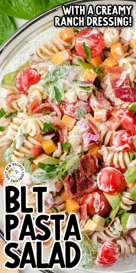 BLT Pasta Salad Blt Pasta Salad Recipe, Amazing Pasta, Blt Pasta Salad, Creamy Pasta Salads, Blt Pasta, Blt Salad, Cold Pasta Salad Recipes, Blt Pasta Salads, Ranch Pasta Salad