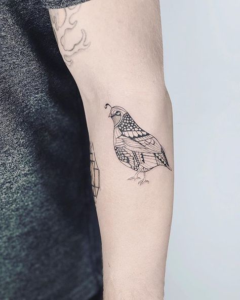 Loved doing this little quail bird for you Ryan! Always a pleasure to tattoo you! Tattoo Ideas Birds, Birds Tattoo Ideas, Quail Tattoo, Flying Birds Tattoo, American Classic Tattoo, Bird Tattoo Ideas, Arizona Tattoo, Quail Bird, Mama Daughter