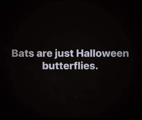 Bat Quotes, Virgo Things, Weird And Wonderful, Best Quotes, Bat, Wonder, Halloween, Quotes, Quick Saves