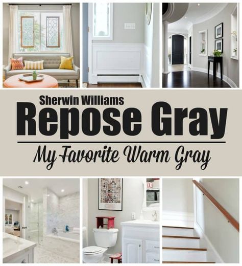 Repose Gray by Sherwin Williams is the perfect warm gray that you've been looking for. It will work in any room in your home, guaranteed! Blue Living Room Color, Interior Paint Colors For Living Room, Warm Grey Paint Colors, Repose Gray Sherwin Williams, Warm Gray Paint, Interior Farmhouse, Blue Gray Paint Colors, Interior Paint Colors Schemes, Blue Gray Paint