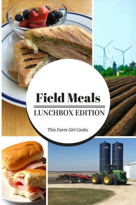 Here are field meals that can be packed in a lunchbox and eaten on the go! These can be prepped in advance and no heating required! Field Meals, Smile Direct, Packing Lunch, Make Ahead Salads, Chicken Spring Rolls, Lunch Box Ideas, Easy Camping Meals, Girl Cooking, Harvest Recipes