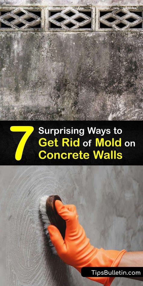 Cleaning Basement Walls, Basement Mold Removal, How To Clean Black Mold, How To Get Rid Of Mold In Basement, Mold Remediation Diy, Remove Mold From Walls, Diy Mold Remover, Mold In Basement, Clean Black Mold