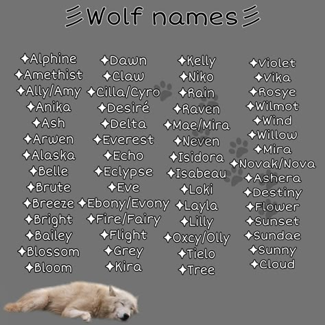 Wolf Aesthetic Cute, Pack Names Werewolf, Names For Magical Creatures, Wolf Pack Name Ideas, Werewolf Last Names, Fake City Names, Fox Name Ideas, Names For Wolves, Werewolf Pack Names