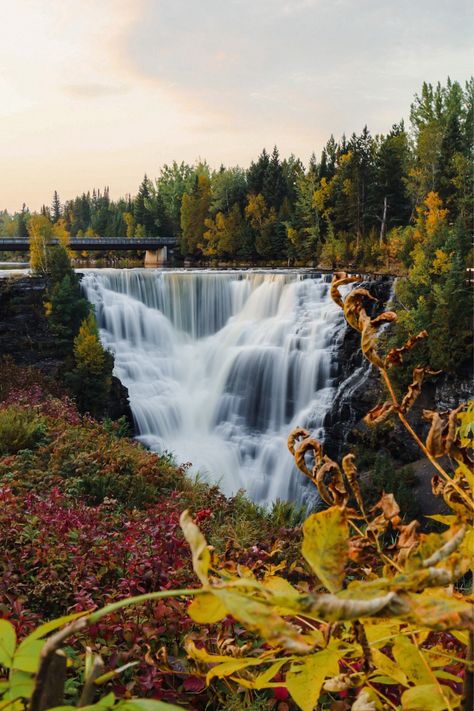 Kakabeka Falls, the “Niagara of the North,” during golden hour🌅🍁. #waterfallwednesday #chasingwaterfalls #fallcolours #canoneosrp #canada | livharvey-97 Niagara Falls Winter, Northern Ontario, Thunder Bay, Believe Me, Natural Wonders, In Summer, Golden Hour, Niagara Falls, I Said