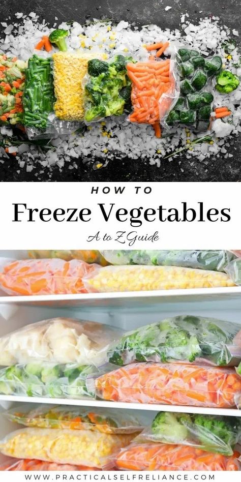 Learn how to freeze garden vegetables and effectively preserve them at the peak of freshness. Provided it’s done properly. If vegetables are not properly prepared before freezing, then you might as well skip it altogether. Freeze Vegetables, Freezing Food Guide, Fresh Vegetable Recipes, Freezing Vegetables, Freezable Meals, Freezer Meal Planning, Canned Food Storage, Skip It, Garden Vegetables