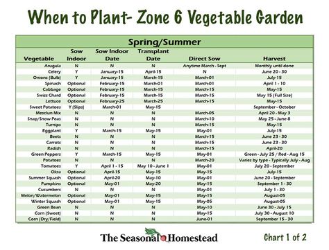 When to Plant Vegetables in Zone 6 - The Seasonal Homestead Seed Starting Soil, Plant Vegetables, When To Plant Vegetables, Planting Calendar, Succession Planting, Plant Zones, Gardening Zones, Vegetable Garden Planning, When To Plant