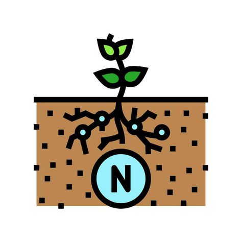 Nitrogen Fixation, Vector Free, Vector Illustration, Royalty Free, Clip Art, Quick Saves, Color